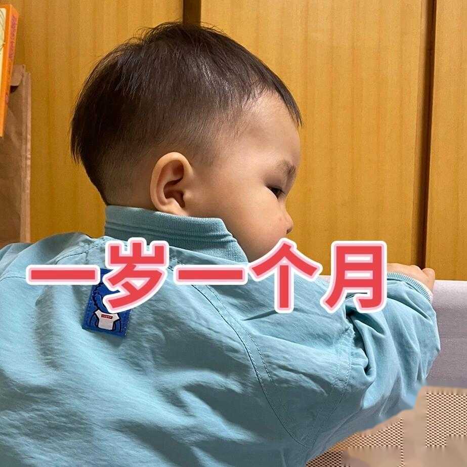 试管精子优化方法
