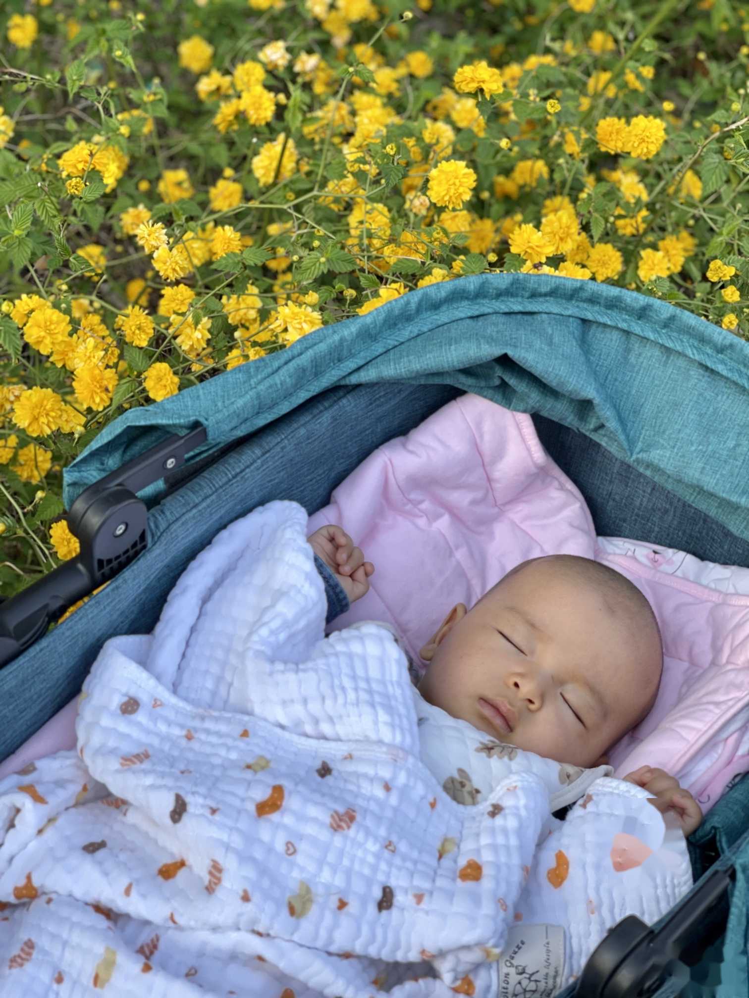 北京靠谱供卵代怀中介|北京供卵不排队试管医院排名一览？