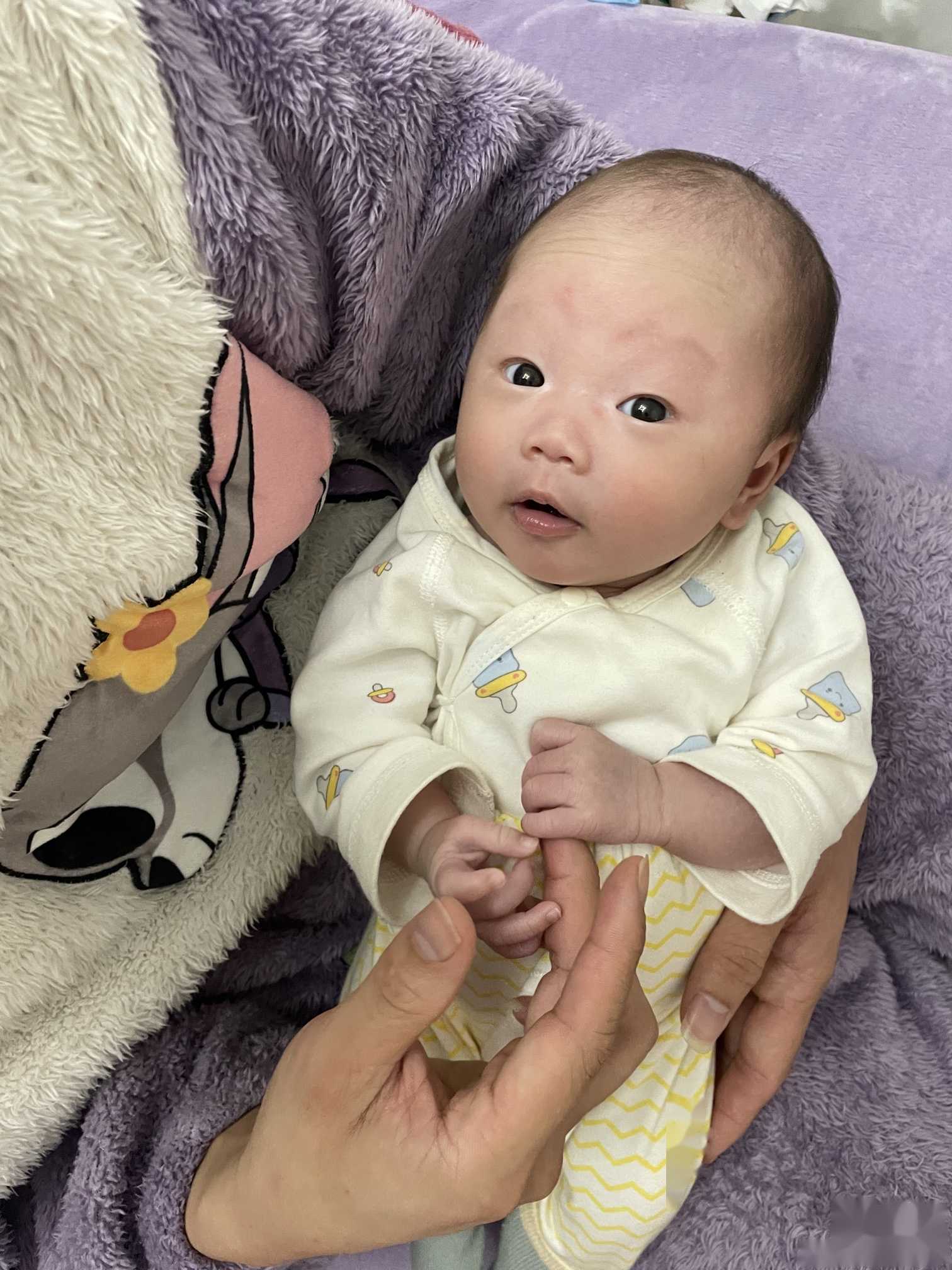 试管助孕如何降低畸形风险？