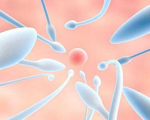 北京代怀包性别多少钱|宣城三代试管包生男孩价格2024
北京