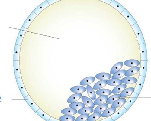 激素水平与卵巢储备关系