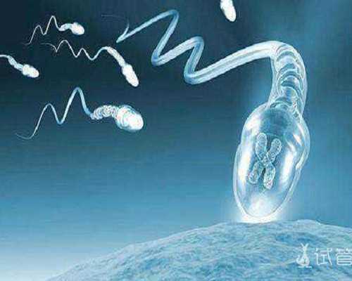 试管妊娠期防畸注意事项