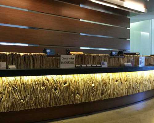 北京做试管供卵选性别|北京朝阳医院做供精试管费用是多少？北京朝阳医院供