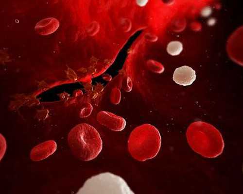 北京失独代生|北京301解放军总医院试管怎么样？