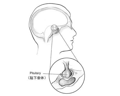 北京助孕供卵多少,北京家恩德运能做供卵吗,北京家恩德运能供卵吗