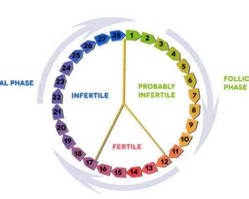 能催乳的食物有哪些8种食物助你简单催乳