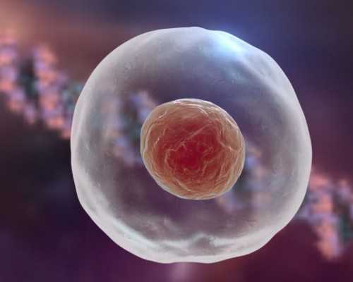 激素水平与试管婴儿费用关系