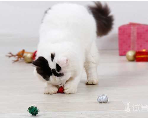 第三代试管婴儿的优势