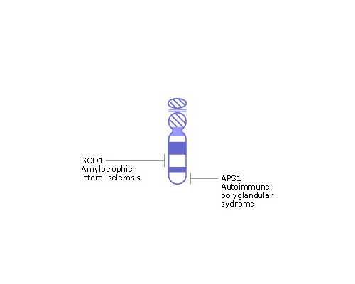 北京人工授精费用多少