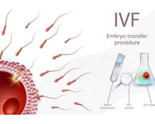 北京试管助孕生子|北京助孕公司试管价格表最新消息？