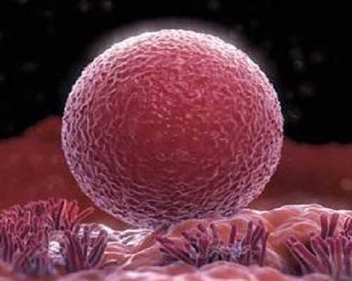 促排卵会导致卵巢早衰吗？