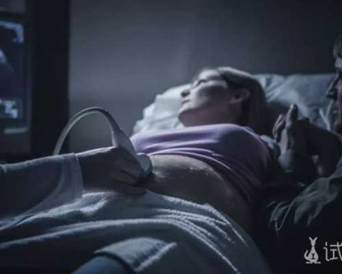 北京正规代怀网,试管免费招募医院北京,北京试管婴儿医院排行