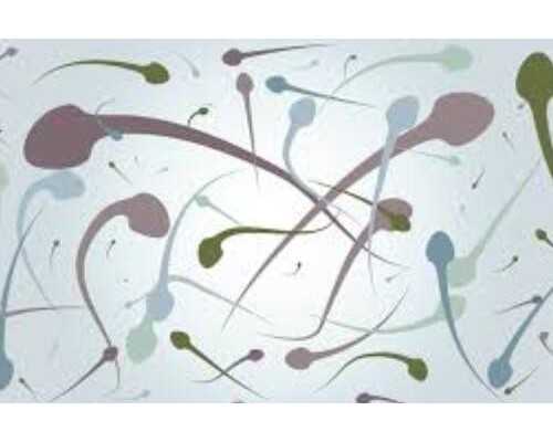 产后塑身操你可以在这里找回最美的自己