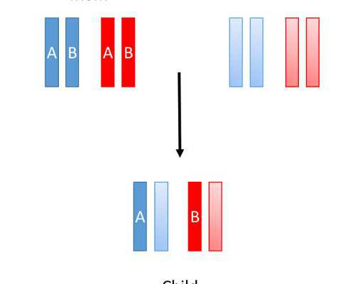 ICSI技术会增加试管费用吗？