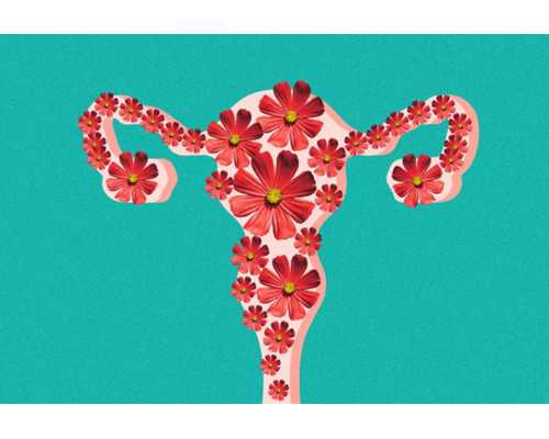 怎样选择智能母婴秤母婴秤哪个牌子好