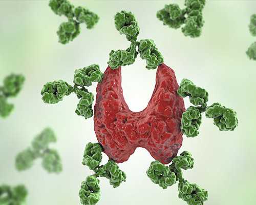 北京供卵哪里优惠|长沙供卵试管北京婴儿医院