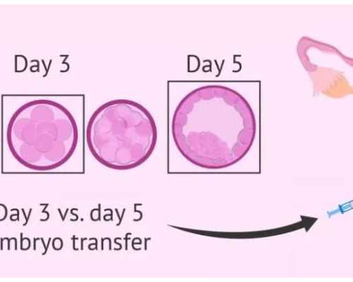 补充哪些营养能改善精液？